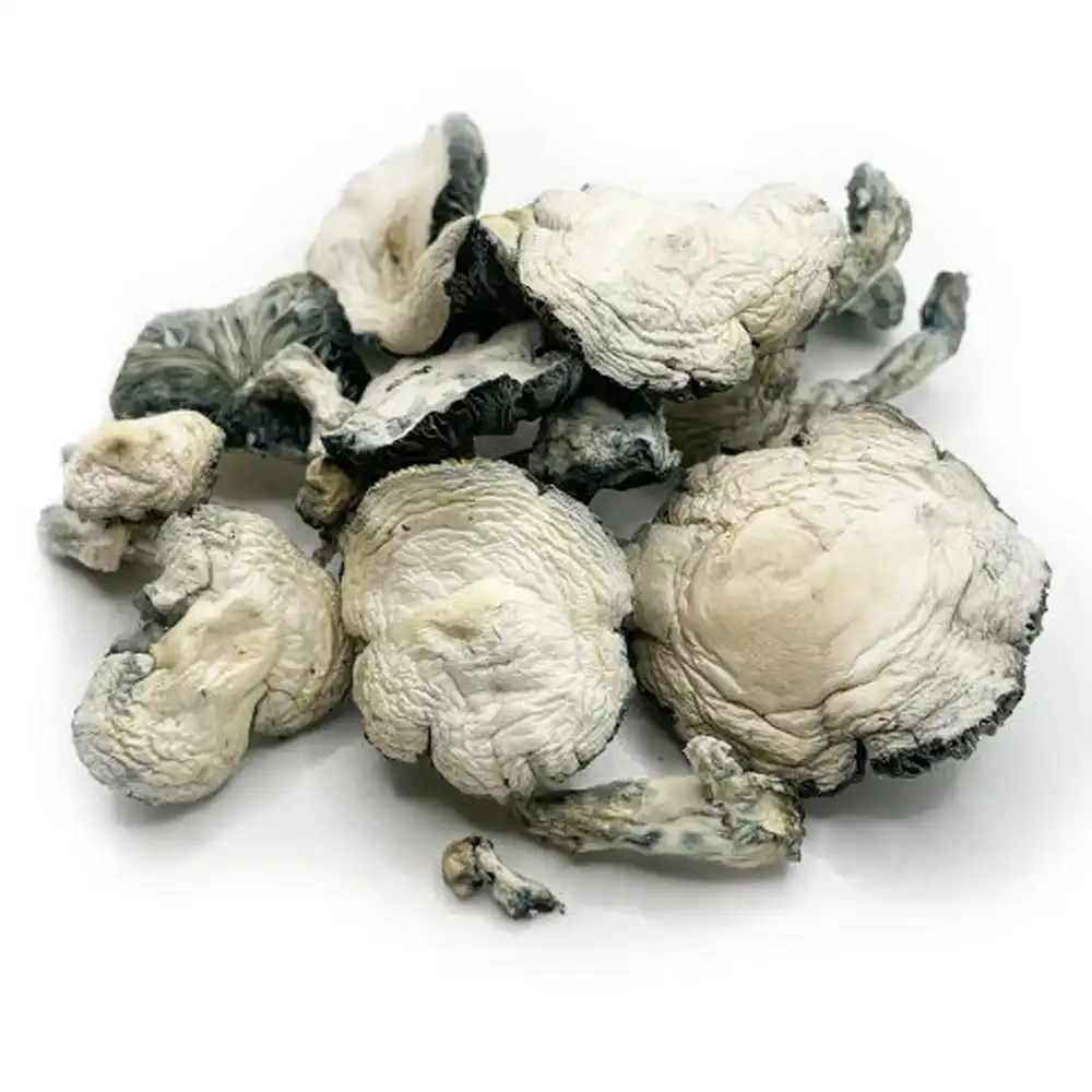 jack frost jack frost