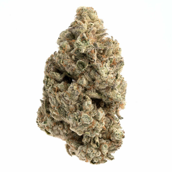 auto draft auto draft